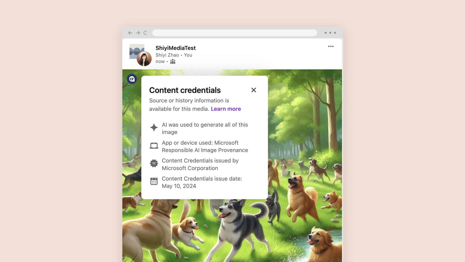 LinkedIn Content Credentials
